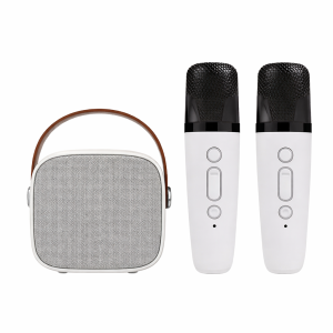 Karaoke set z 2 mikrofonoma Bluetooth HIFI zvočnik